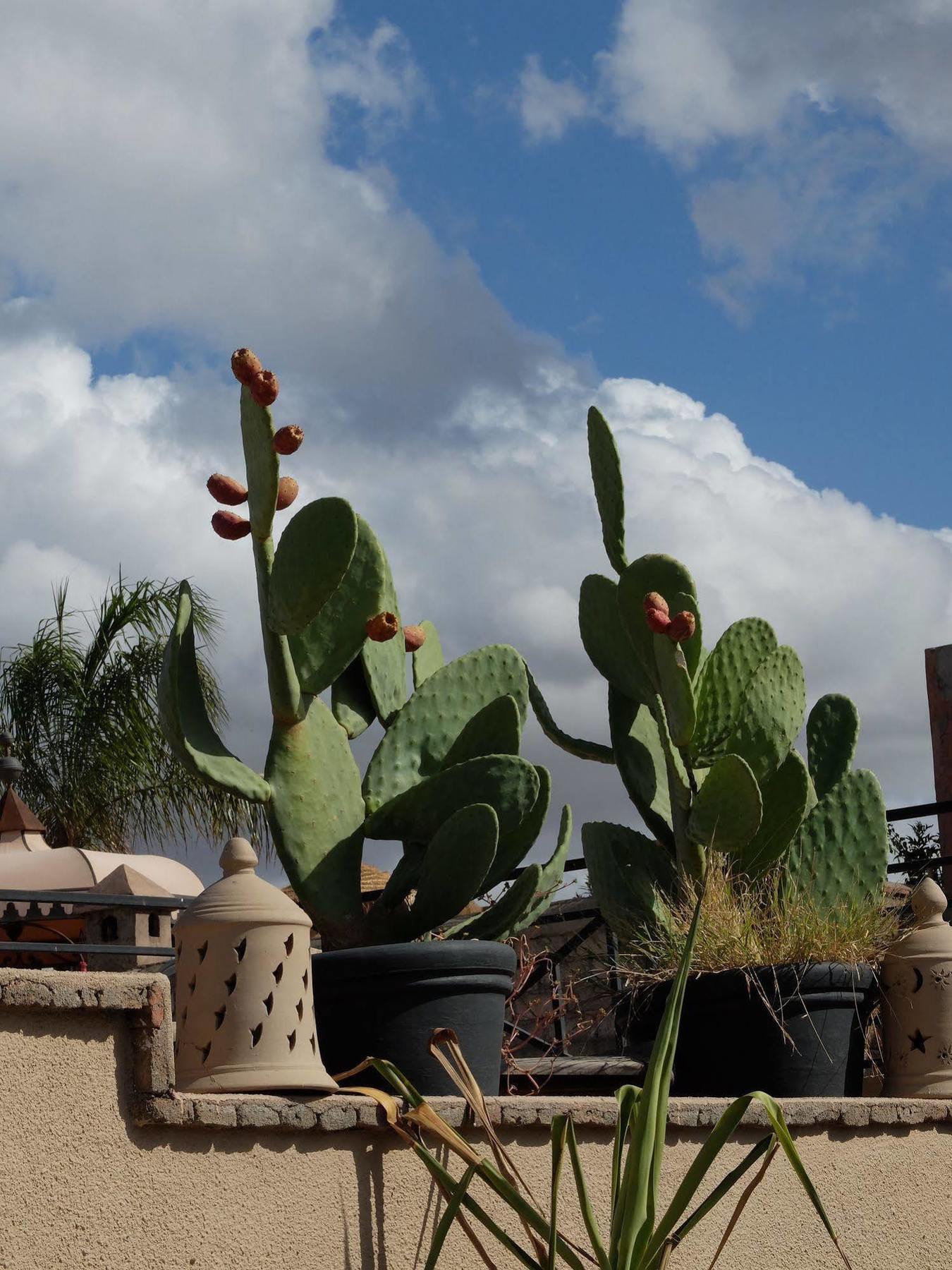 Riad Pierres Et Saveurs Soleil Марракеш Экстерьер фото